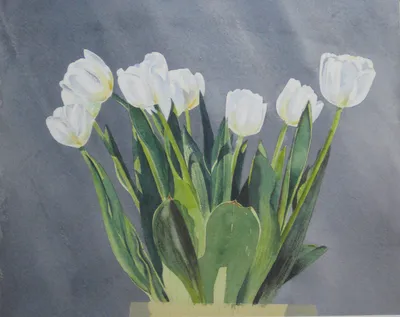 Тюльпаны акварелью. by Bogdalena Bah (2020) : Work on Paper Watercolor on  Paper - SINGULART