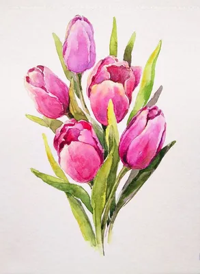 Тюльпаны Акварель | Peinture fleurs, Tutoriel fleurs aquarelle, Art de la  peinture