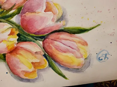 Рисуем тюльпаны акварелью | Цветочные картины, Урок по акварели, Учебники  по акварели