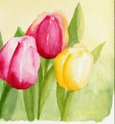 розовые тюльпаны цветы, акварель Живопись Art Tulip, тюльпан акварель,  фиолетовый, травянистое растение, аранжировка цветов png | Klipartz