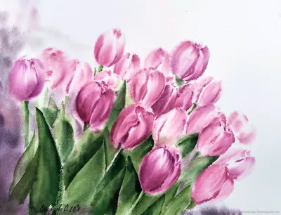 Тюльпаны розовые картина акварелью в стиле прованс букет лежит на бело в  интернет-магазине Ярмарка Мастеров по цене 9550 ₽ – LSWO6BY | Картины,  Москва - доставка по России