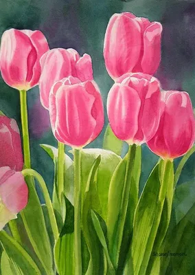 Нежные тюльпаны акварелью: 14 прекрасных картин: Идеи и вдохновение в  журнале Ярмарки Мастеров