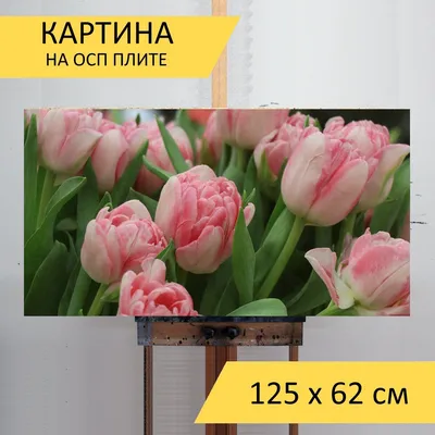 Купить Искусственная композиция тюльпаны в корзине/Искусственные цветы для  декора/ Декор для дома по выгодной цене в интернет-магазине OZON.ru  (323880498)