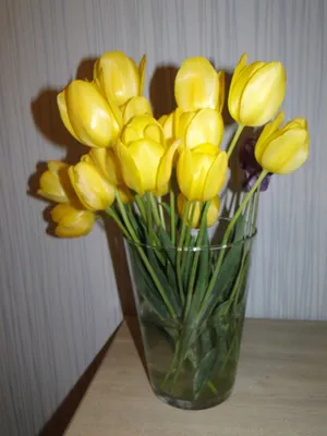Купить Цветы искусственные тюльпаны для декора дома букет высота 31 см,  букет из 7 бутонов, оранжево-красный по выгодной цене в интернет-магазине  OZON.ru (1021680015)
