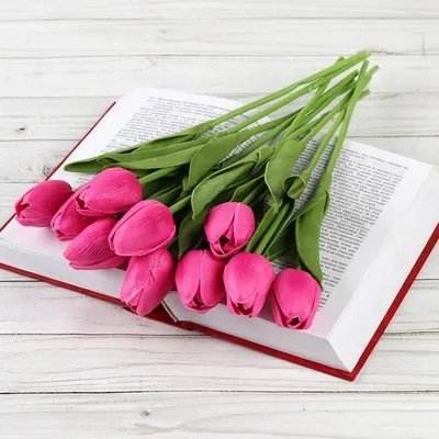 Цветы эстетика белые тюльпаны | Белые тюльпаны, Тюльпаны, Цветы