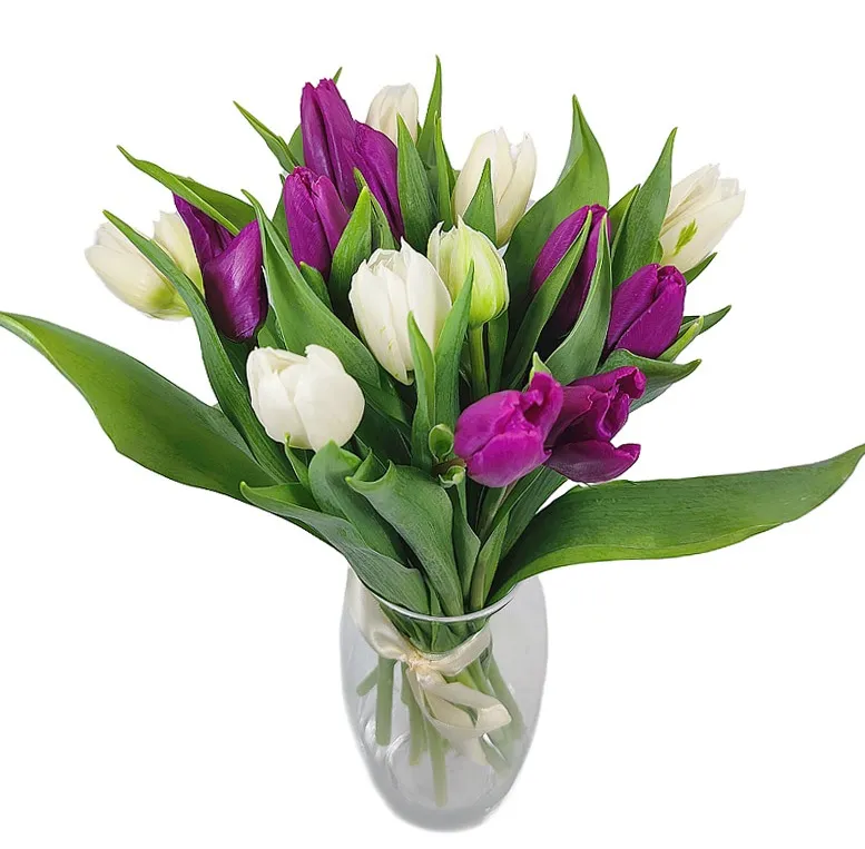 Тюльпаны купить набережные челны. Тюльпаны микс Tulipa Mix Голландия. Недорогие букеты из тюльпанов. Недорогие композиции из тюльпанов. 201 Тюльпан микс.
