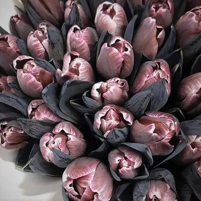 Тюльпаны микс поштучно – гарантируем свежесть и низкую цену!