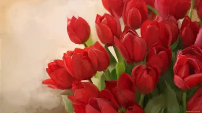 Тюльпаны — раскраски для детей скачать онлайн бесплатно