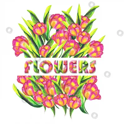 Тюльпан Microsoft Paint Flower Petal, нарисованный белыми цветами, Растение  Стебель, цветок, цветы png | Klipartz