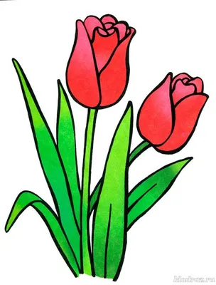 Рисунки тюльпана карандашом для детей (50 фото) 🔥 Прикольные картинки и  юмор
