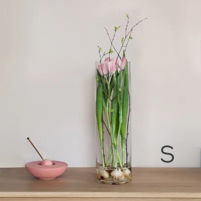 Разноцветные тюльпаны + ваза, 25 цветов в коробке по цене 4375 ₽ - купить в  RoseMarkt с доставкой по Санкт-Петербургу