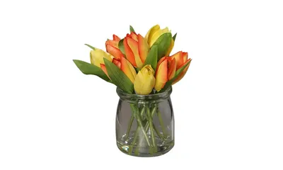 Чтобы тюльпаны не поникли, и действительно ли они растут в вазе | Семена  декоративных растений для сада и дома | Дзен