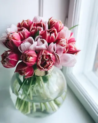 Тюльпаны В Вазе Стоковые Фотографии | FreeImages