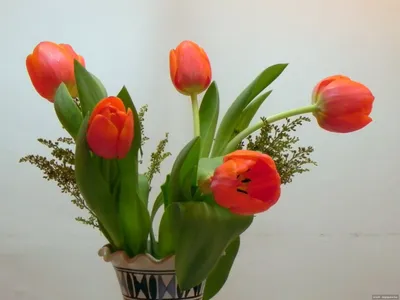 Как сделать, чтобы тюльпаны в вазе дольше оставались свежими - Мир  Садоводства