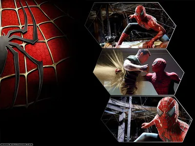 Spider Verse Тоби Магуайр Том Холланд Эндрю Гарфилд обои, HD супергерои обои, 4k обои, изображения, фоны, фотографии и картинки