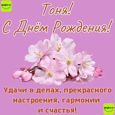 с днем рождения#всех благ | TikTok