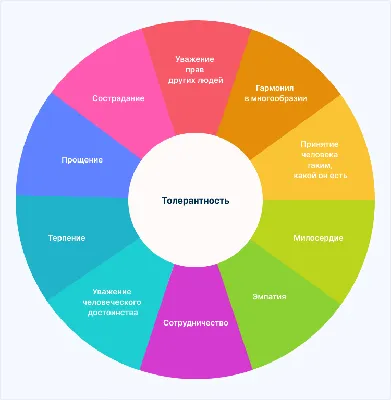 Толерантность в школе - что это за зверь? | Записки строгого учителя | Дзен