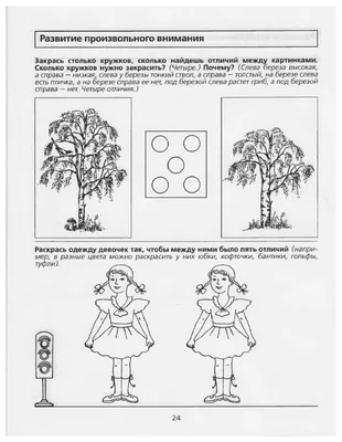 Толстый И Тонкий Рисунок (55 Фото)