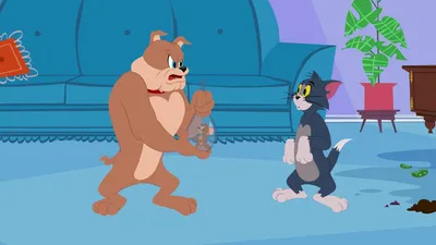 The Tom and Jerry Show (TV Series 2014-2021) - Posters — The Movie Database  (TMDB)