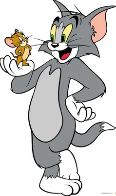 Поздравляем Tom and Jerry