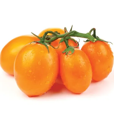 Семена томатов (помидор) Скала купить в Украине | Веснодар