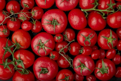 Найдены идеальные томаты для салата - FLAMENCO: насыщенно-красные как  внутри, так и снаружи | Retail.ru