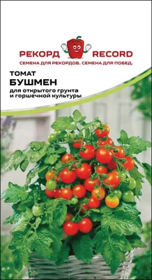 Томат Кечкемети 549, семена | ОГОРОД.сайт