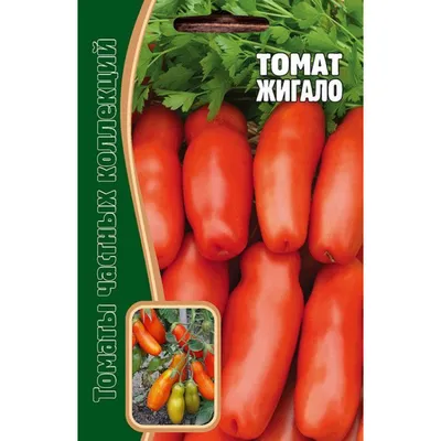 Семена Томат «Пузата хата» по цене 43 ₽/шт. купить в Москве в  интернет-магазине Леруа Мерлен