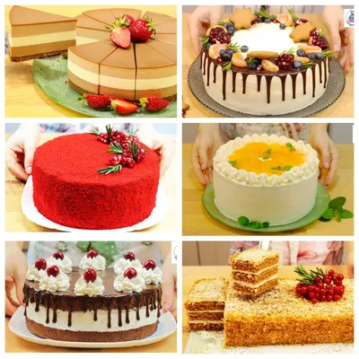 Торты, рецепты с фото: 1271 рецепт торта на сайте Гастроном.ру