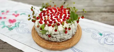 Торты, рецепты с фото: 1271 рецепт торта на сайте Гастроном.ру