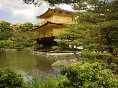 Японские дома: особенности традиционного жилья и современного проекта