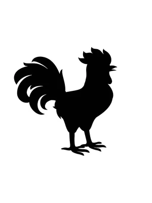 Трафарет Петух Цыпленок Силуэт, курица, животные, galliformes, монохромный  png | Klipartz