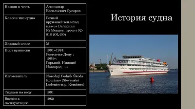 В Волгограде у острова Голодный столкнулись катамаран и баржа - Российская  газета