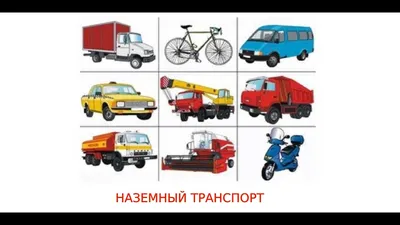 18 Бесплатных Карточек Водный транспорт на Русском | PDF