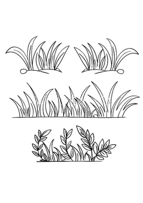 Раскраска трава раскраски. Раскраски травы для изучения природы с детьми