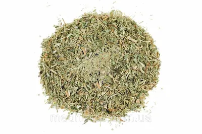 цветущая трава мокрица фотография Stock | Adobe Stock