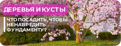 Гомельчанка возмутилась высотой травы возле дома: Маленькие детки просто  теряются