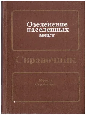 Фото сада с красивыми цветами спиреи на фоне пышных травяных грядок