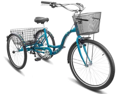 Stels Energy VI (6) 2020 - купить велосипед трехколесный грузовой взрослый
