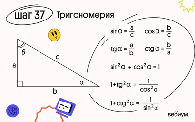 Тригонометрия: таблица косинусов, синусов, тангенсов и катангенсов - Без  Сменки