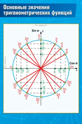 Тригонометрия в картинках фотографии