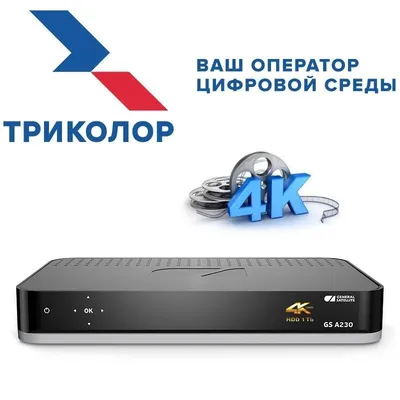 Спутниковый приемник GS A230 купить в интернет магазине с доставкой по  Москве