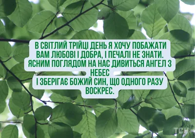 Троица-2022: новые красивые открытки и поздравления со Святой Троицей  верующим - sib.fm