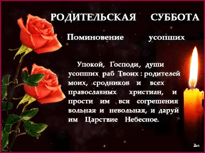 Троицкая родительская суббота / Новости / Администрация Волоколамского  городского округа