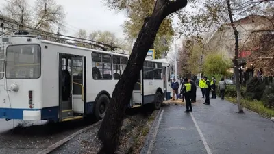 Аппликация «Троллейбус» (5 фото). Воспитателям детских садов, школьным  учителям и педагогам - Маам.ру