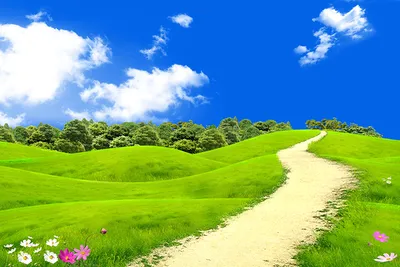 Images path Nature Fields Meadow Clouds