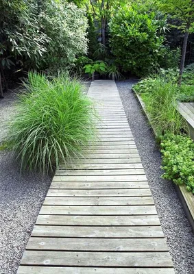 Дорожки на даче из дерева: 50 несложных вариантов | Живу за городом |  Garden paths, Driveway landscaping, Backyard landscaping