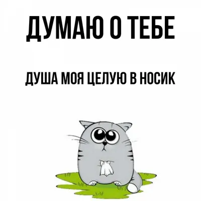 Открытка с именем Душа моя целУю в носик Думаю о тебе картинки. Открытки на  каждый день с именами и пожеланиями.