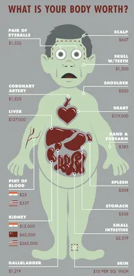 Тело в розницу: по какой цене украинцы продают свои органы - Здоровье 24