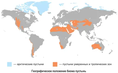 Книга Остановка в пустыне - купить классической литературы в  интернет-магазинах, цены на Мегамаркет | 10255060